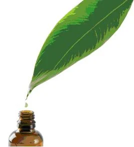 Curcuma - Curcuma xanthorrhiza CO2 - SE- BIO